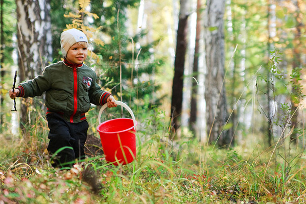 Оставила детей в лесу. Дети собирают ягоды. Мальчик собирает ягоды в лесу. Мальчик собирает грибы в лесу. Дети собирают грибы в лесу.